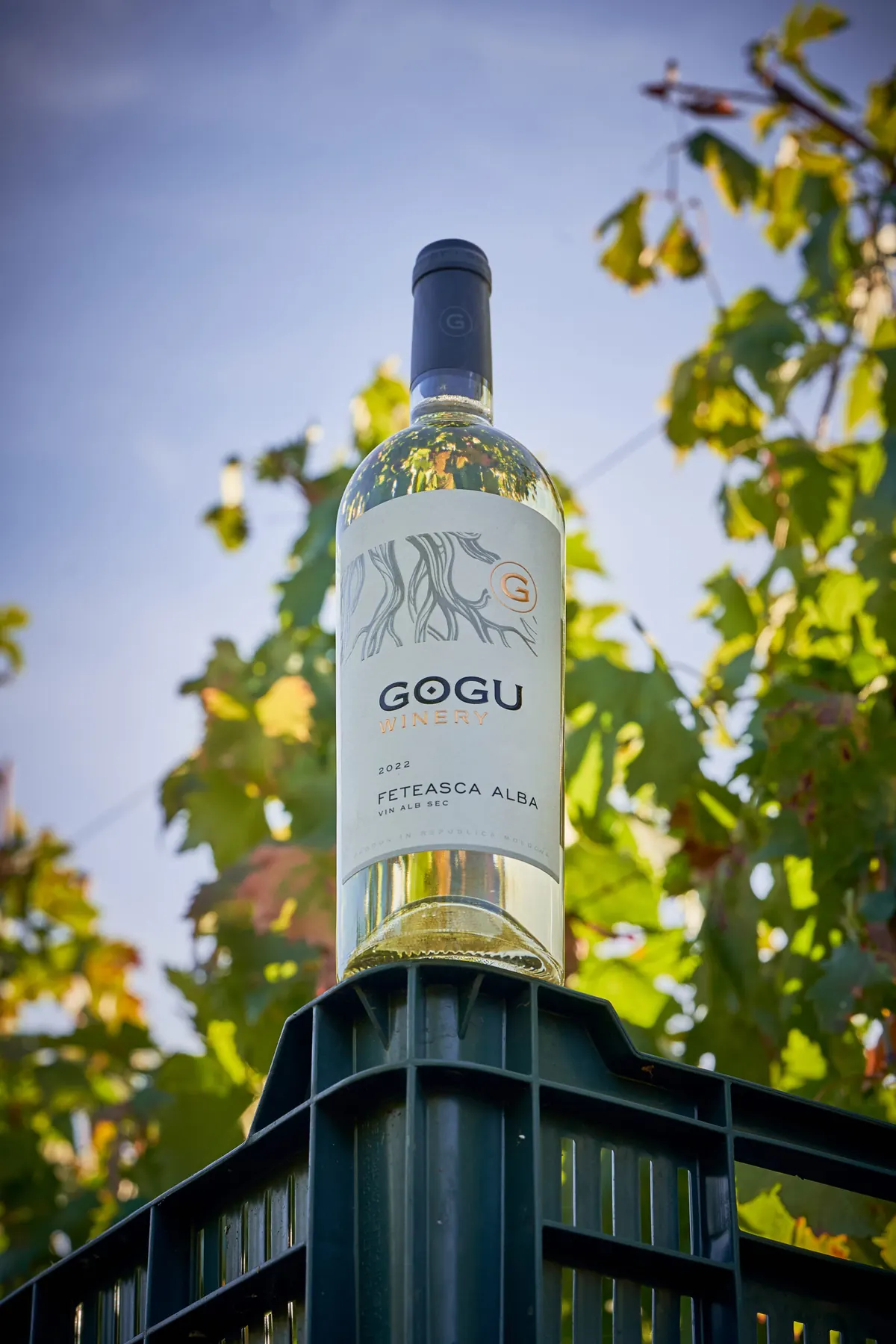 A Gogu bottle on harvest crates among the vines
